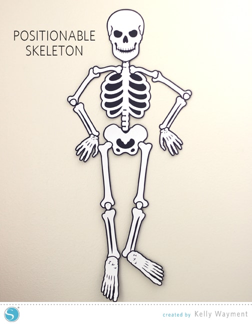Positionable Skeleton