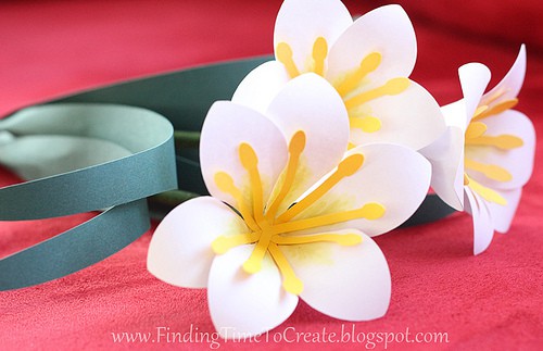 Easter Lilies