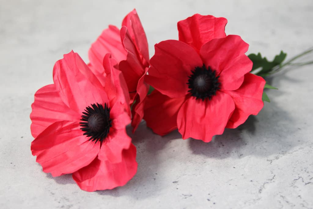 Paper Poppy Set