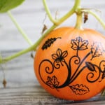 Fall Vinyl on Pumpkin | Finding Time To Create