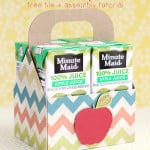 Juice Box Tote Tutorial