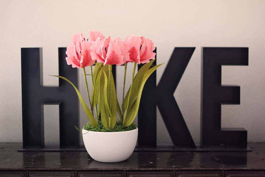 Lia Griffith's Master Class - parrot tulips