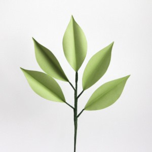 3D Paper Ruscus