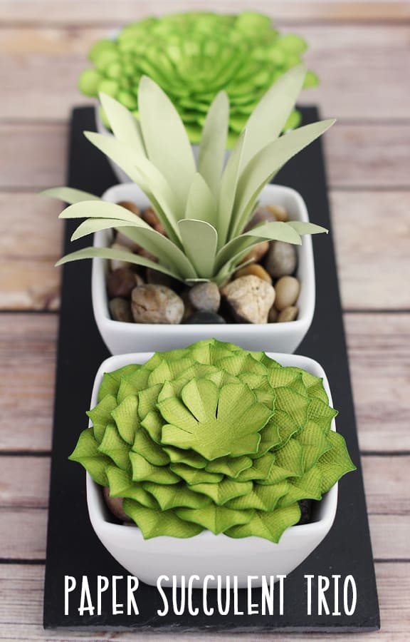Paper Succulent Trio by Kelly Wayment